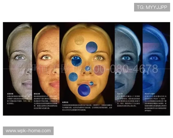 深入了解欧博旗下品牌的核心优势与未来发展战略